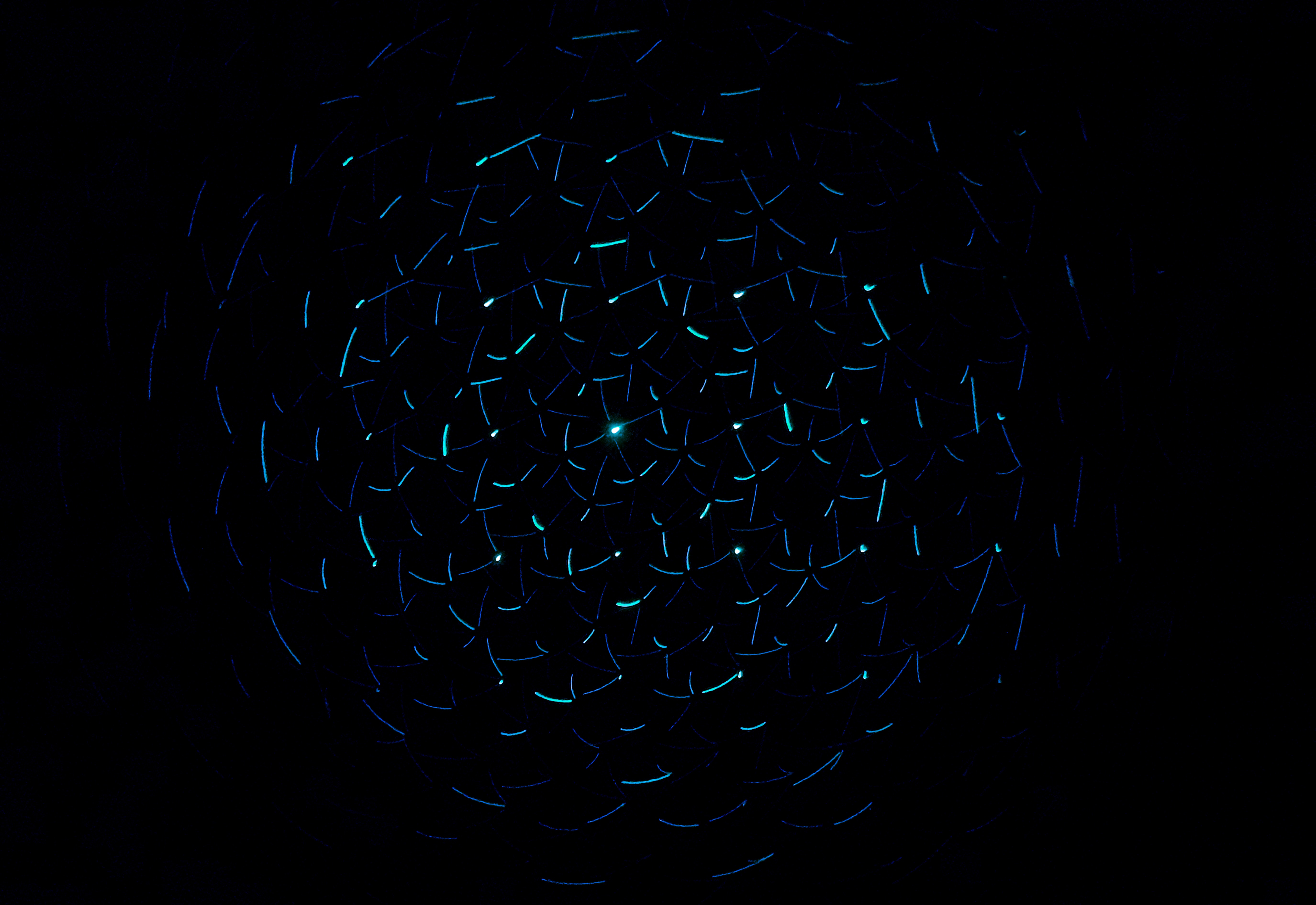 abstract